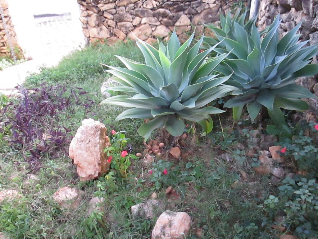 Pousada As Reliquias De Minas Tiradentes Exterior foto